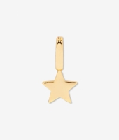 Gold Star Charm