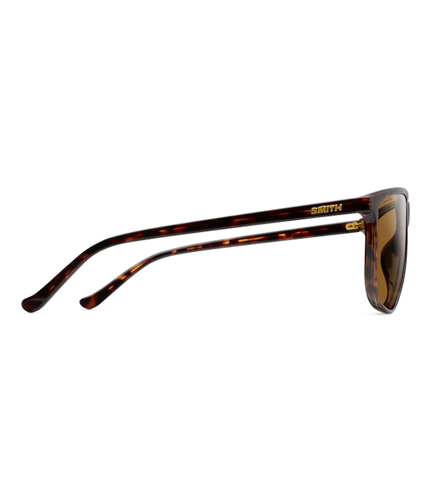 Tortoise/ChromaPop Polarized Brown