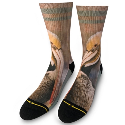 Pelican Socks