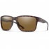 Matte Tortoise/ChromaPop Polarized Brown