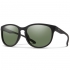 Matte Black/ChromaPop Polarized Gray Green