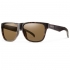 Matte Tortoise/Polarized Brown