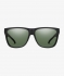 Matte Black w/ ChromaPop Polarized Gray Green